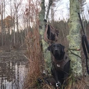 Meet your Posher, Cody